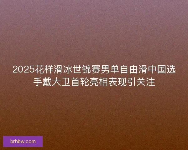 2025花样滑冰世锦赛男单自由滑中国选手戴大卫首轮亮相表现引关注