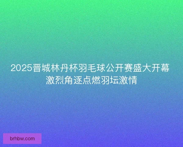 2025晋城林丹杯羽毛球公开赛盛大开幕 激烈角逐点燃羽坛激情