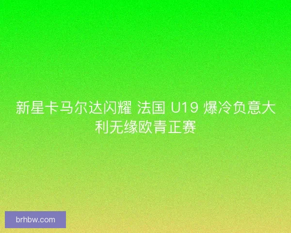 新星卡马尔达闪耀 法国 U19 爆冷负意大利无缘欧青正赛